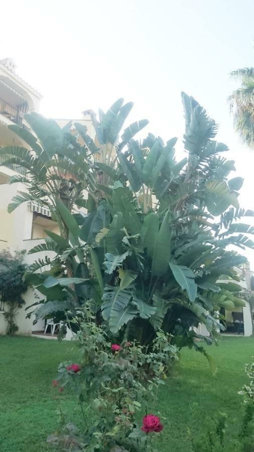 Appartement Casa Belmonte 2bed 2bath Garden Marbella